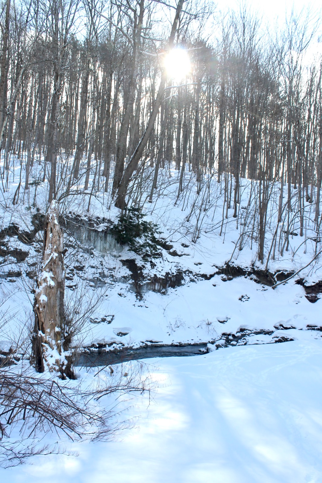 #16 photo, 2172 State Route 80, Jordenville , NY 13361