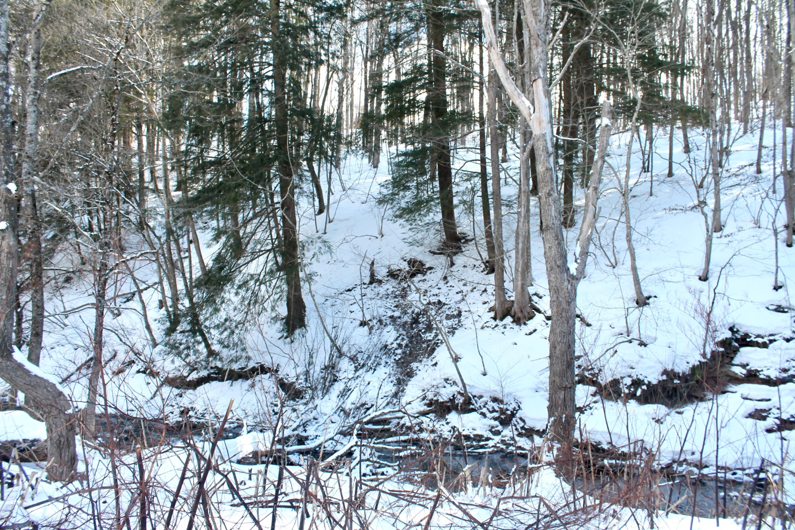 #17 photo, 2172 State Route 80, Jordenville , NY 13361