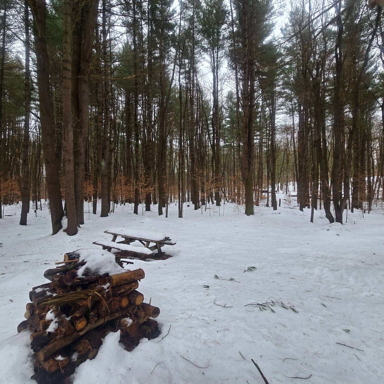 #13 photo, 302 Dutcherville Rd, Constantia , NY 13044