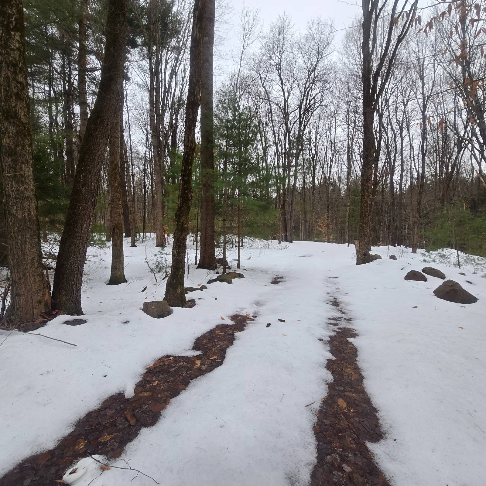 #2 photo, 302 Dutcherville Rd, Constantia , NY 13044