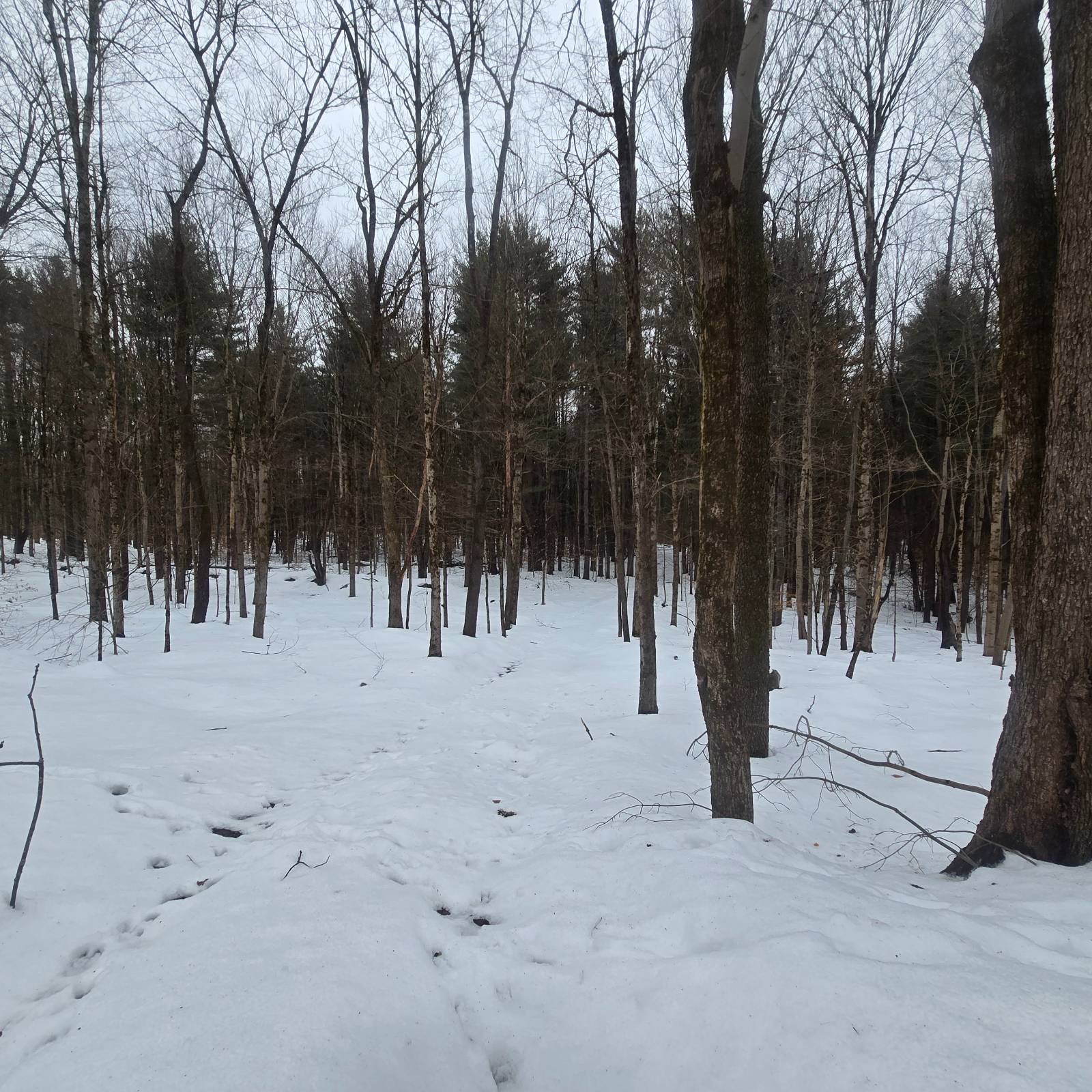 #21 photo, 302 Dutcherville Rd, Constantia , NY 13044