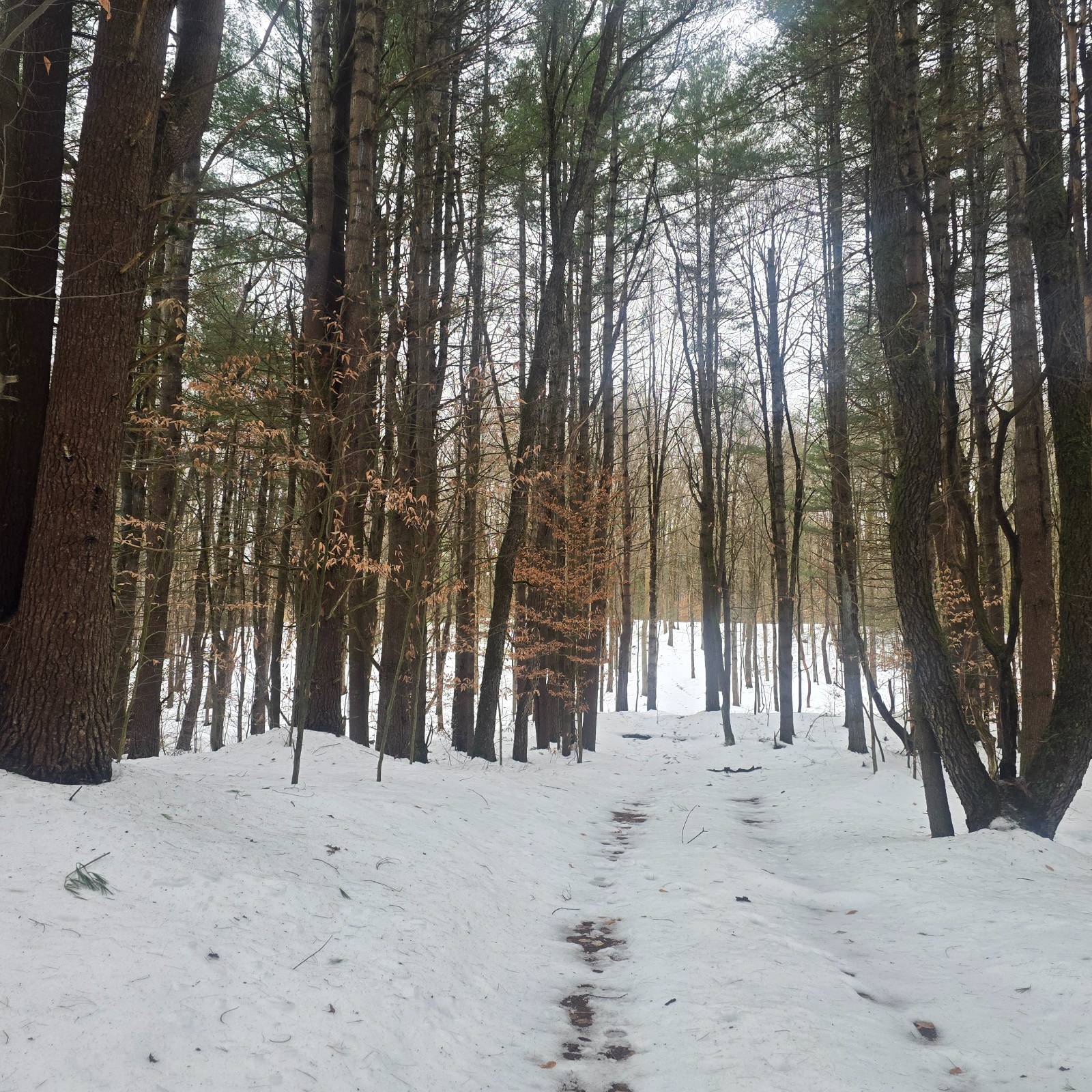 #32 photo, 302 Dutcherville Rd, Constantia , NY 13044