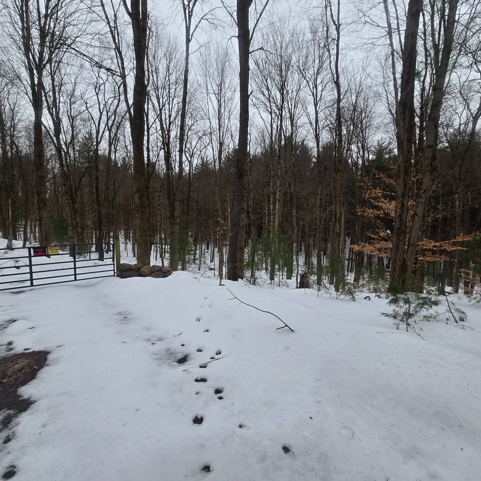 #6 photo, 302 Dutcherville Rd, Constantia , NY 13044