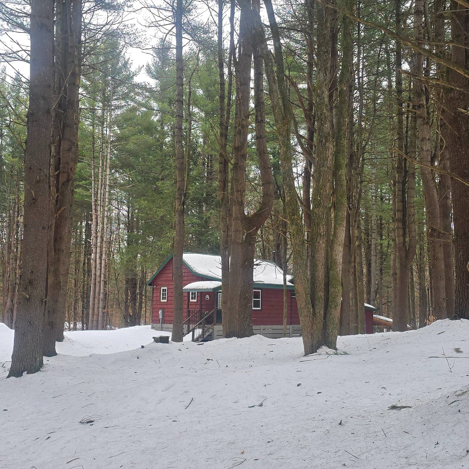 #8 photo, 302 Dutcherville Rd, Constantia , NY 13044