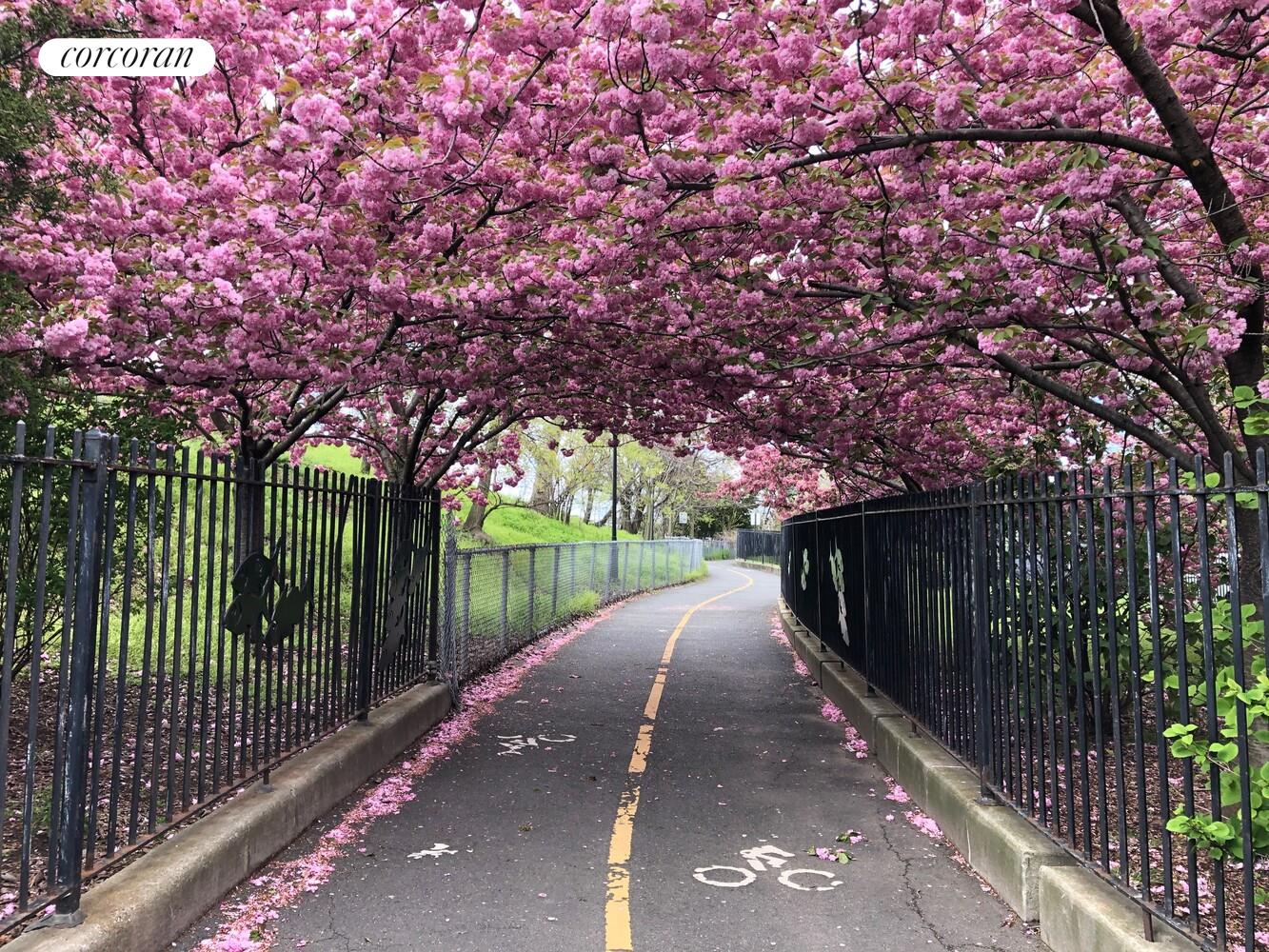 #11 photo, 7259 SHORE Road, 브루클린 Bay Ridge , NY 11209