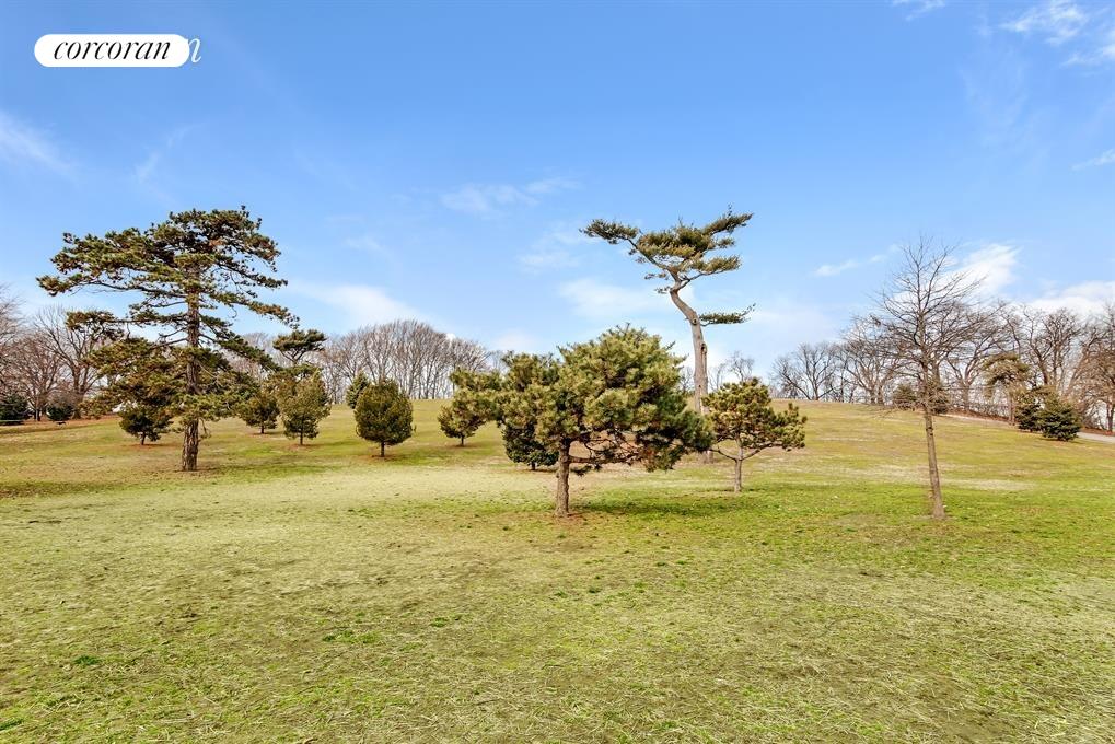 #13 photo, 7259 SHORE Road, 브루클린 Bay Ridge , NY 11209