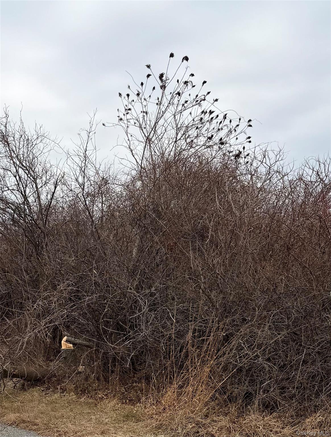 #1 photo, 18 Homeward Lane, Montauk , NY 11954