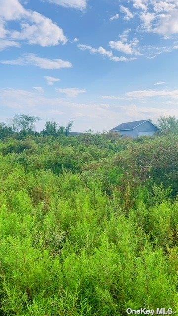 #3 photo, 20 Fox Run Road, Athens , NY 12015