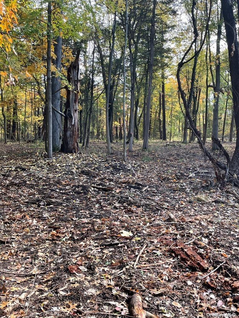 #1 photo, 15 Tammy Trail, Athens , NY 12051