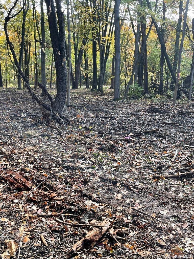 #4 photo, 15 Tammy Trail, Athens , NY 12051