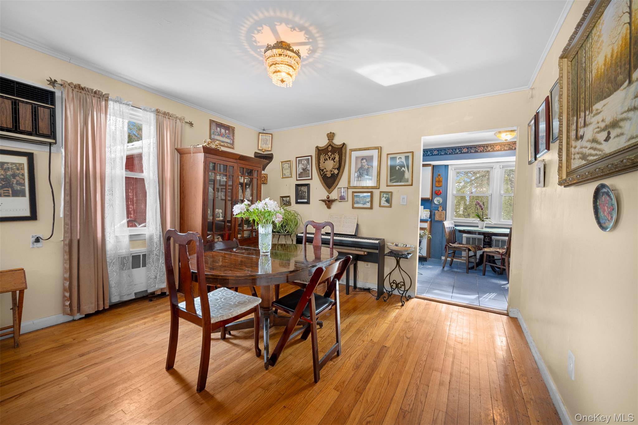 #11 photo, 524 Livingston Street, Westbury , NY 11590