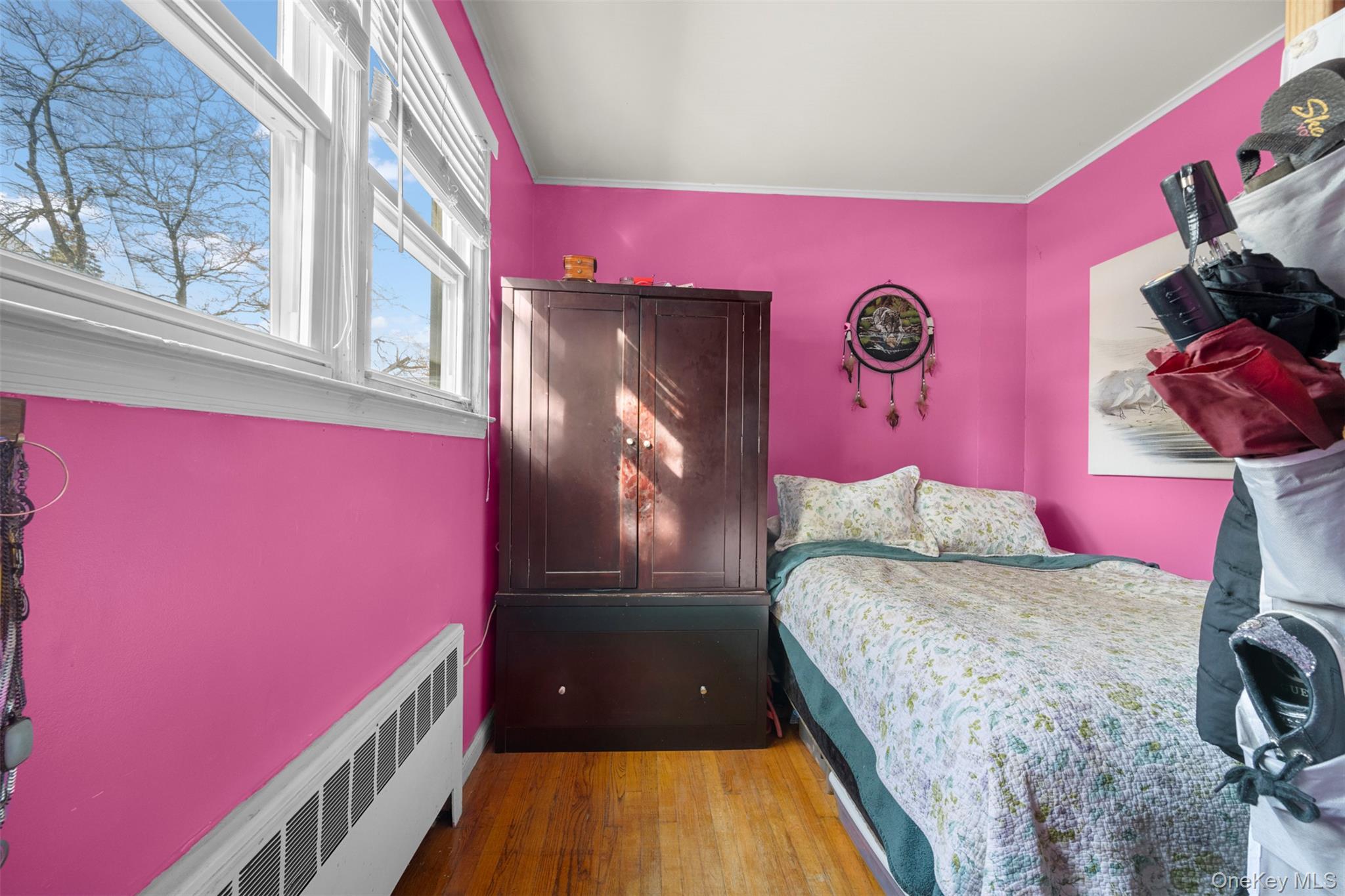 #17 photo, 524 Livingston Street, Westbury , NY 11590