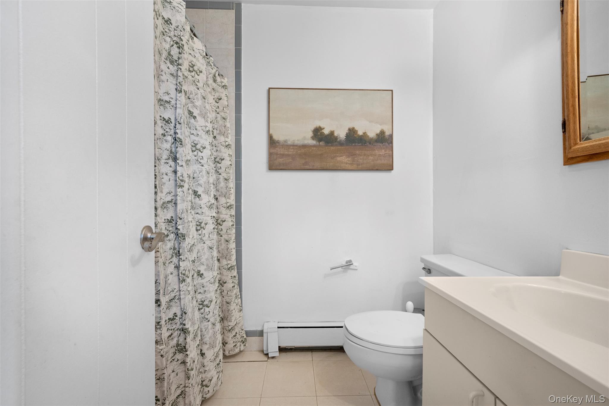 #18 photo, 524 Livingston Street, Westbury , NY 11590