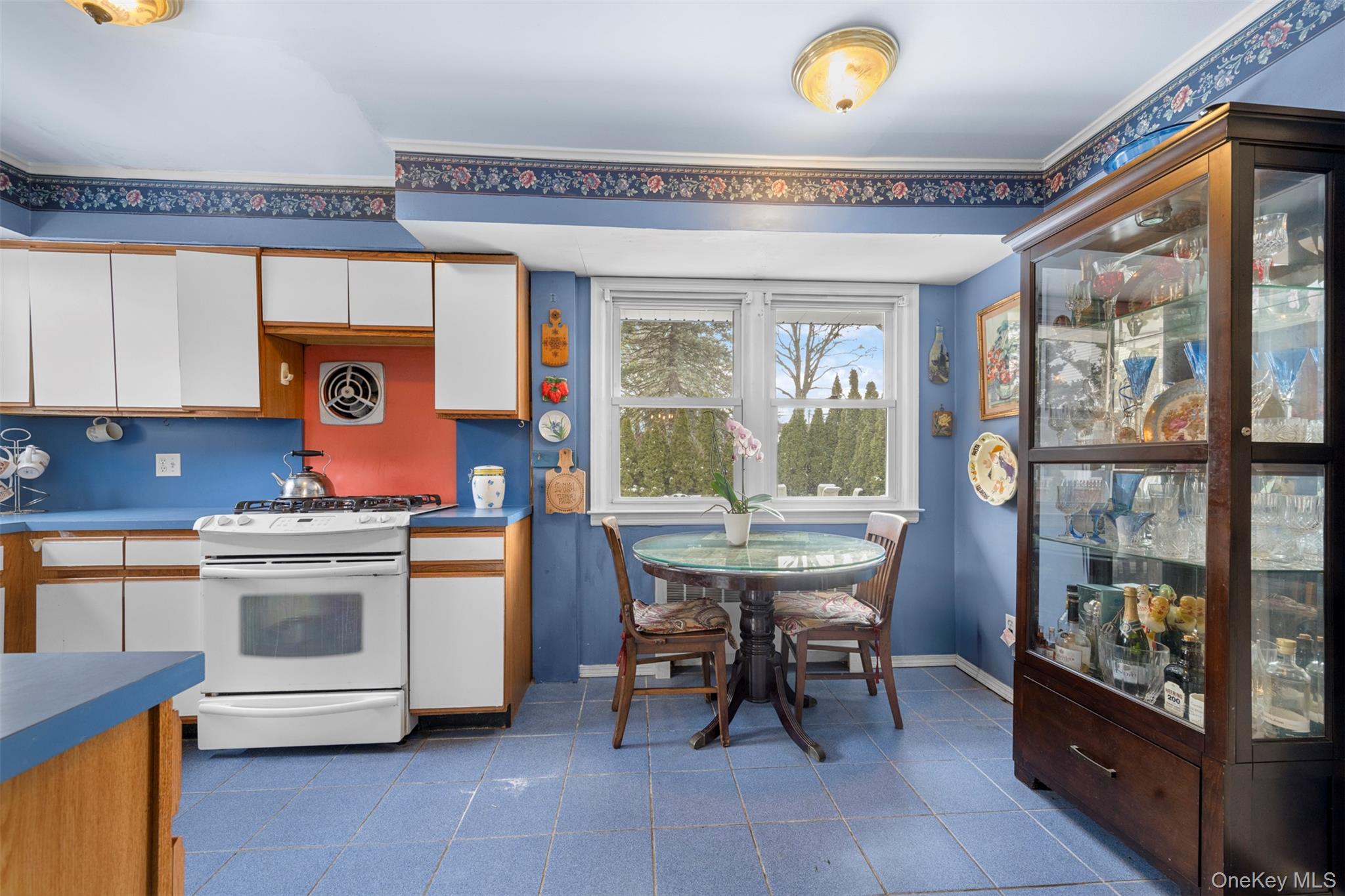 #7 photo, 524 Livingston Street, Westbury , NY 11590