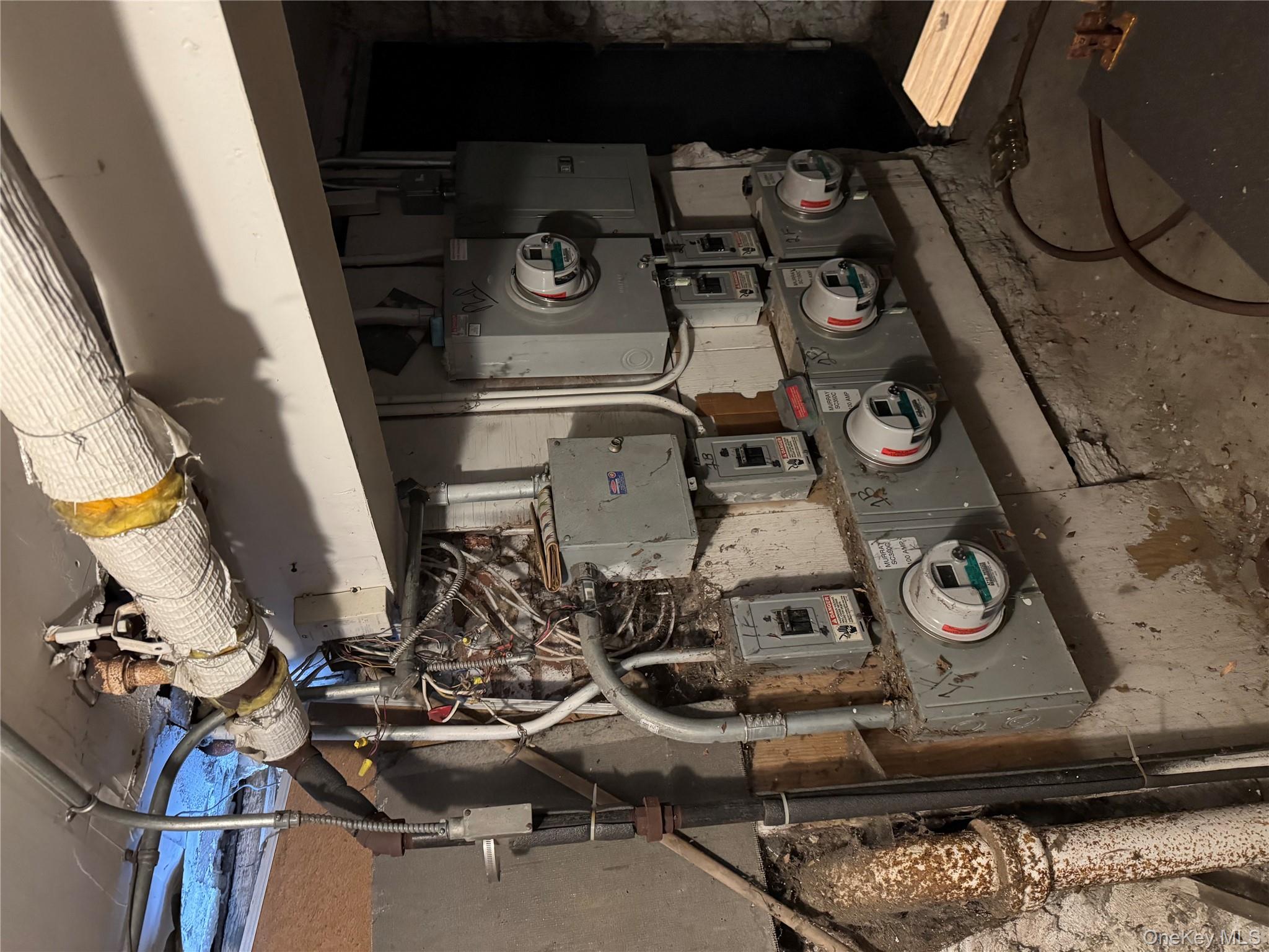 #11 photo, 928 belmont, 브루클린 Brooklyn , NY 11028