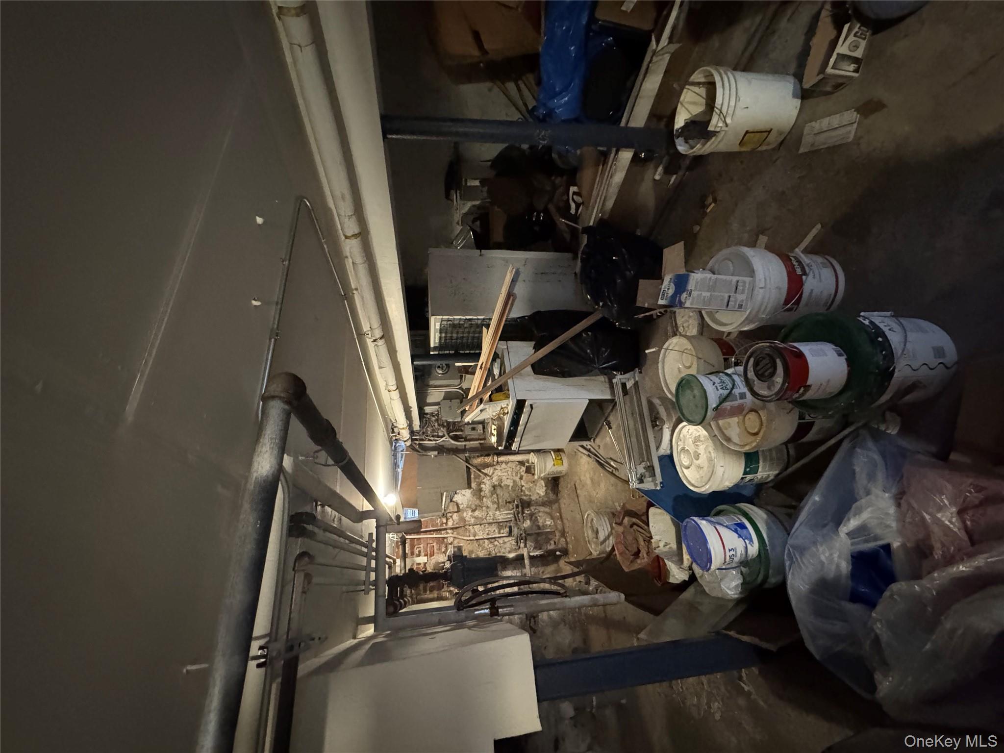 #12 photo, 928 belmont, 브루클린 Brooklyn , NY 11028