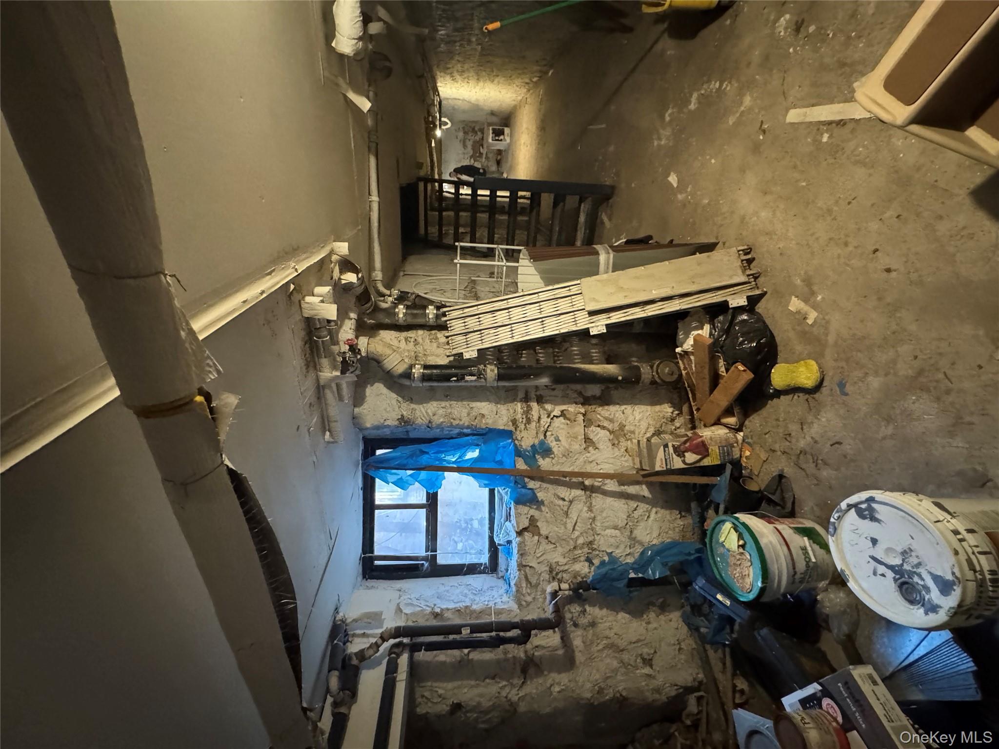 #13 photo, 928 belmont, 브루클린 Brooklyn , NY 11028