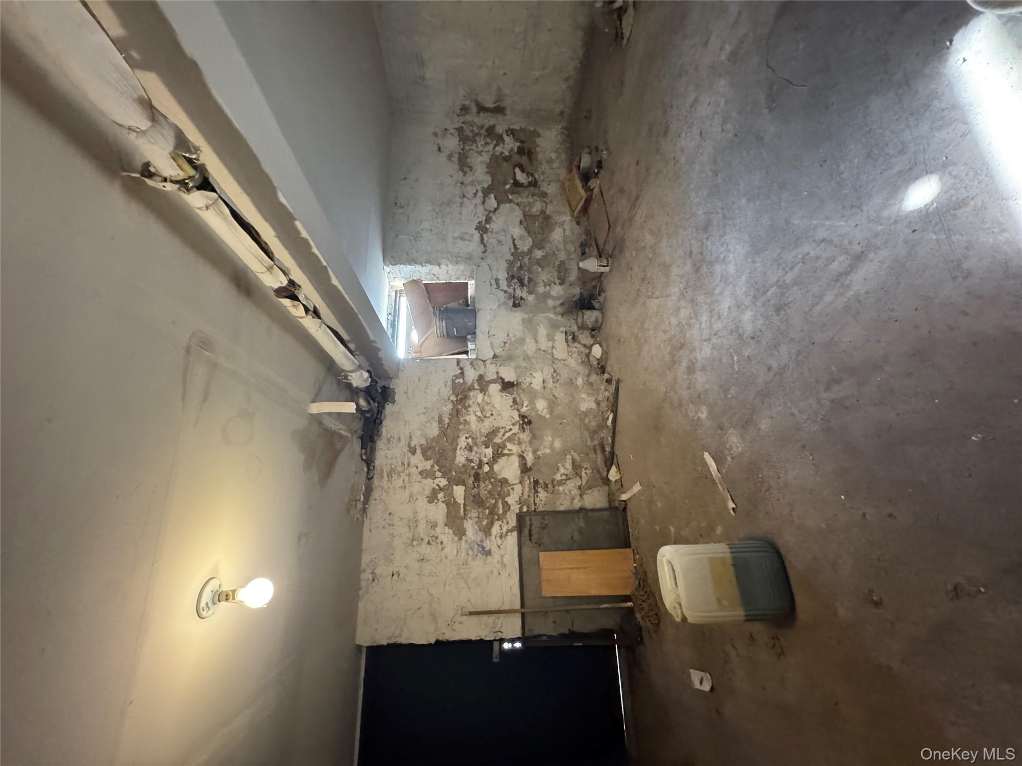 #15 photo, 928 belmont, 브루클린 Brooklyn , NY 11028