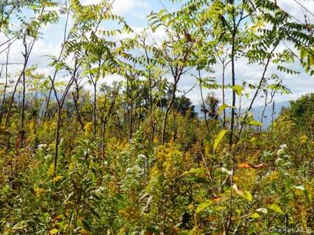 #10 photo, 132 Lockwood Road, Hudson , NY 12534