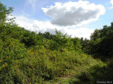 #11 photo, 132 Lockwood Road, Hudson , NY 12534