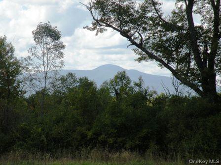 #14 photo, 132 Lockwood Road, Hudson , NY 12534