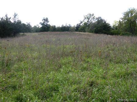 #15 photo, 132 Lockwood Road, Hudson , NY 12534