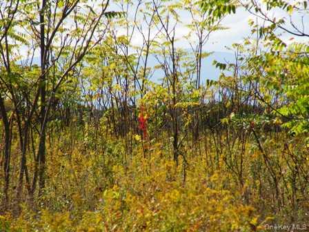 #16 photo, 132 Lockwood Road, Hudson , NY 12534