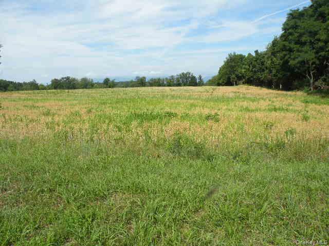 #3 photo, 132 Lockwood Road, Hudson , NY 12534