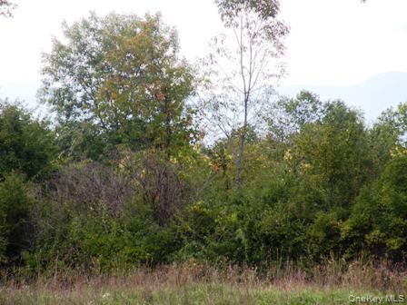 #7 photo, 132 Lockwood Road, Hudson , NY 12534