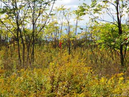 #9 photo, 132 Lockwood Road, Hudson , NY 12534