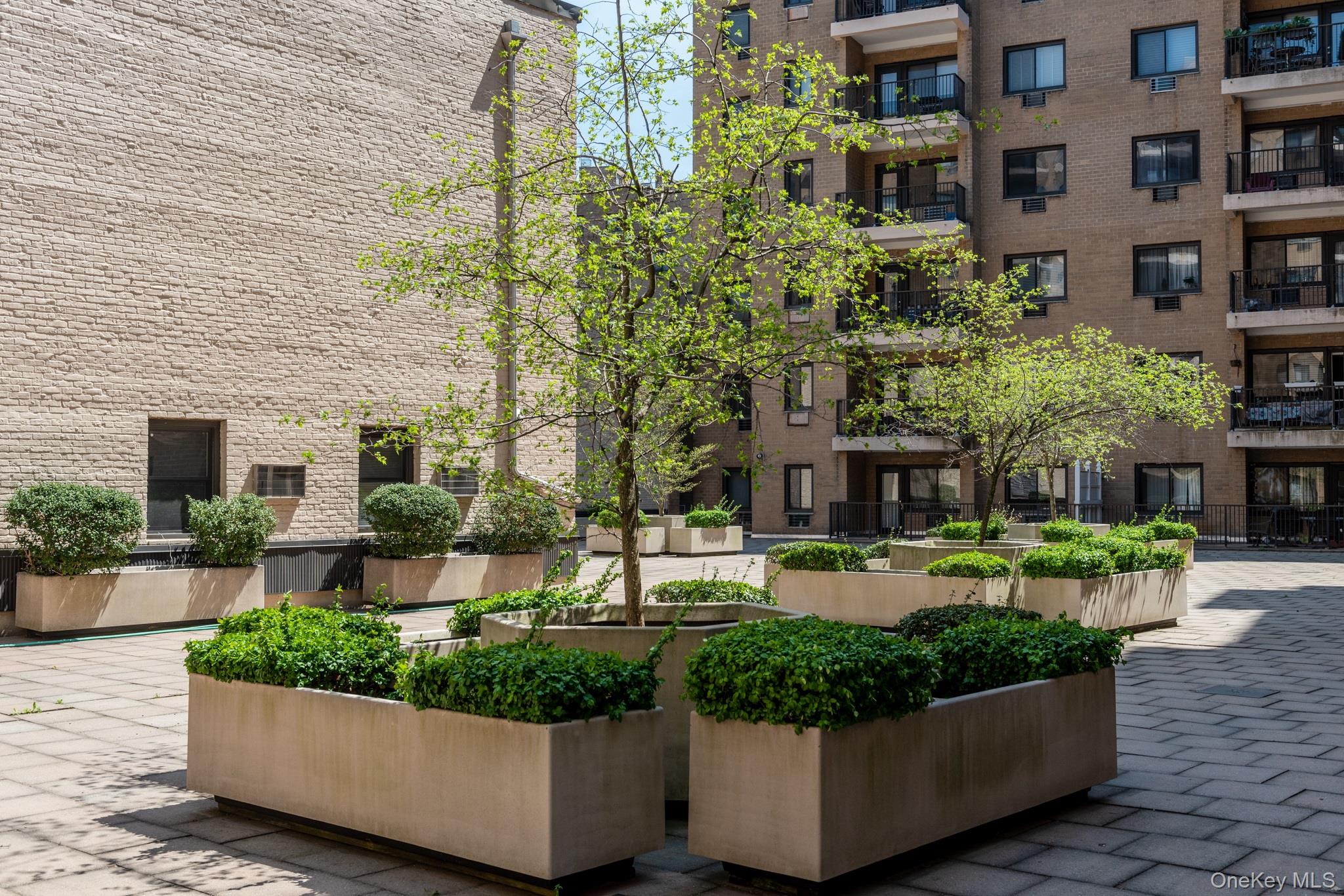 #13 photo, 100 E Hartsdale Avenue, Hartsdale , NY 10530