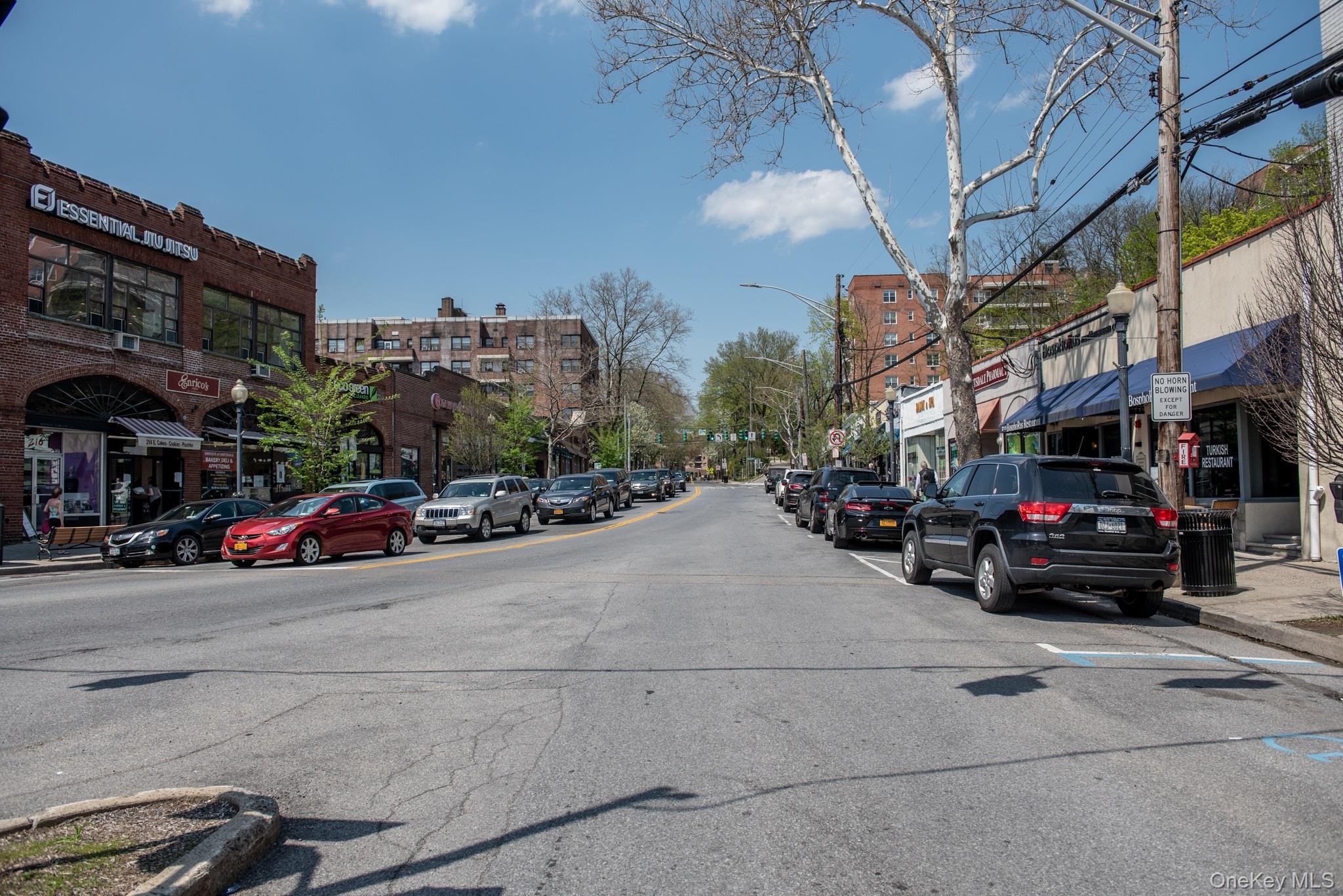 #17 photo, 100 E Hartsdale Avenue, Hartsdale , NY 10530