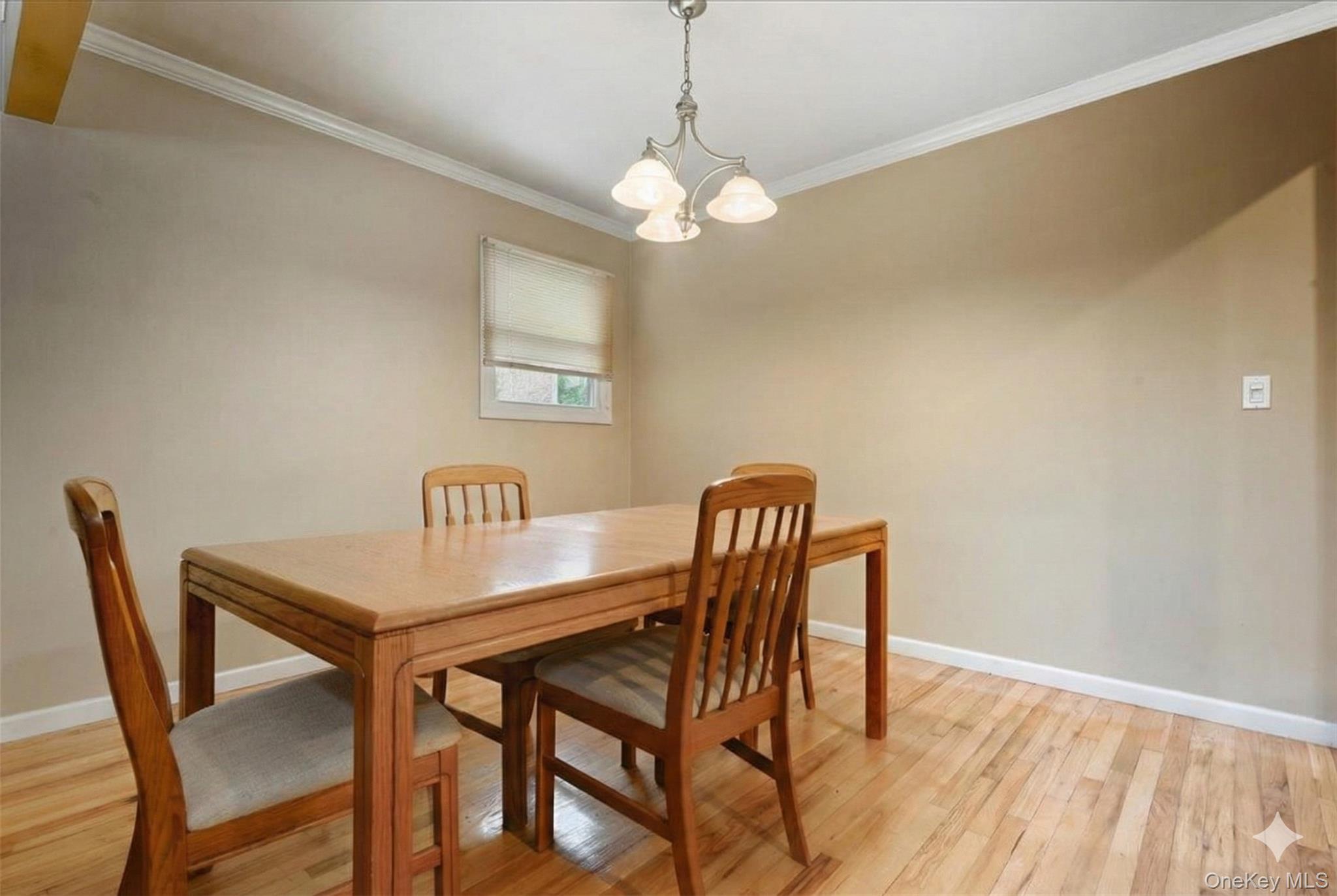 #10 photo, 49 Atlantic Avenue, Нассау ‖ Carle Place , NY 11514