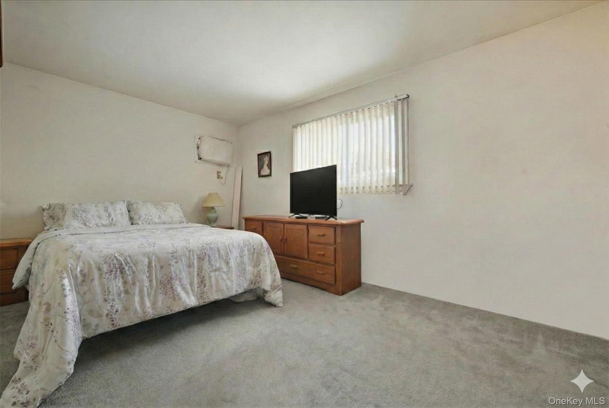 #15 photo, 49 Atlantic Avenue, Нассау ‖ Carle Place , NY 11514