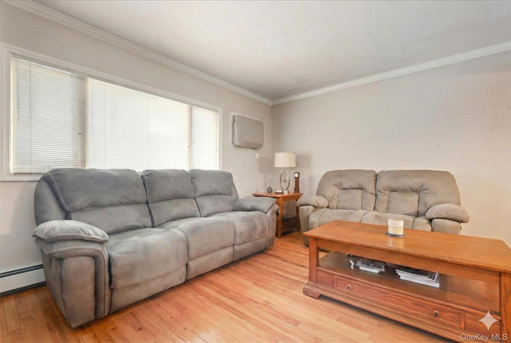 #9 photo, 49 Atlantic Avenue, Нассау ‖ Carle Place , NY 11514