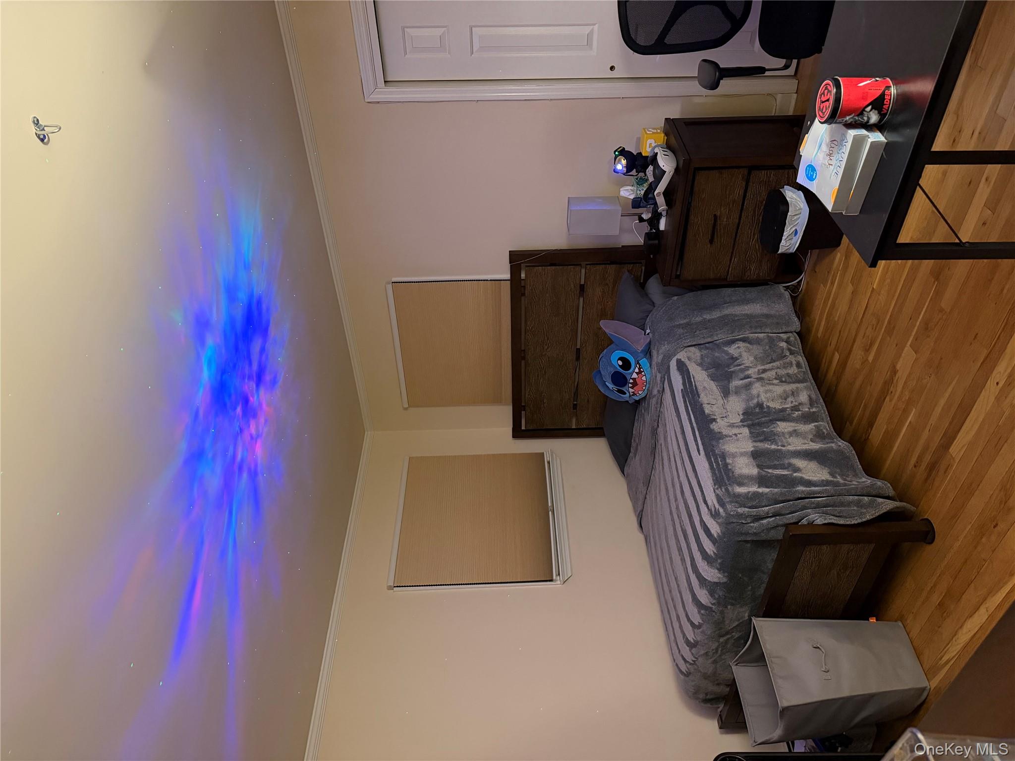 #12 photo, 131 Ethel Street, Нассау ‖ Valley Stream , NY 11580