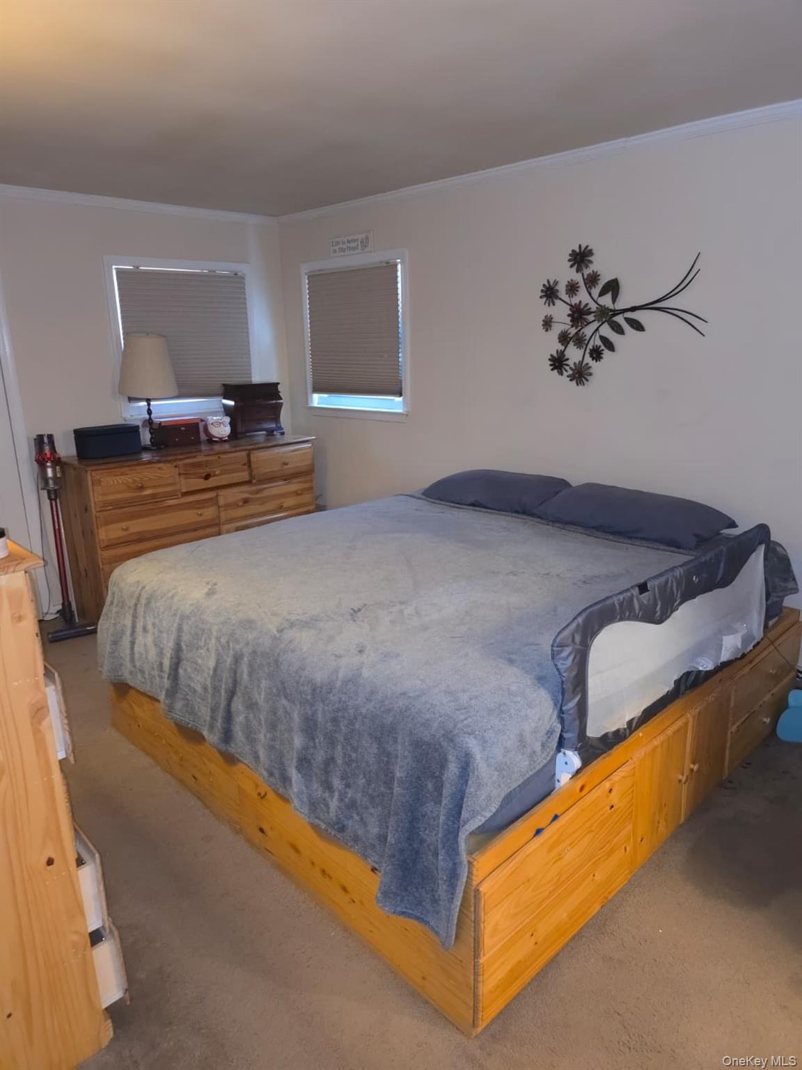 #6 photo, 131 Ethel Street, Нассау ‖ Valley Stream , NY 11580