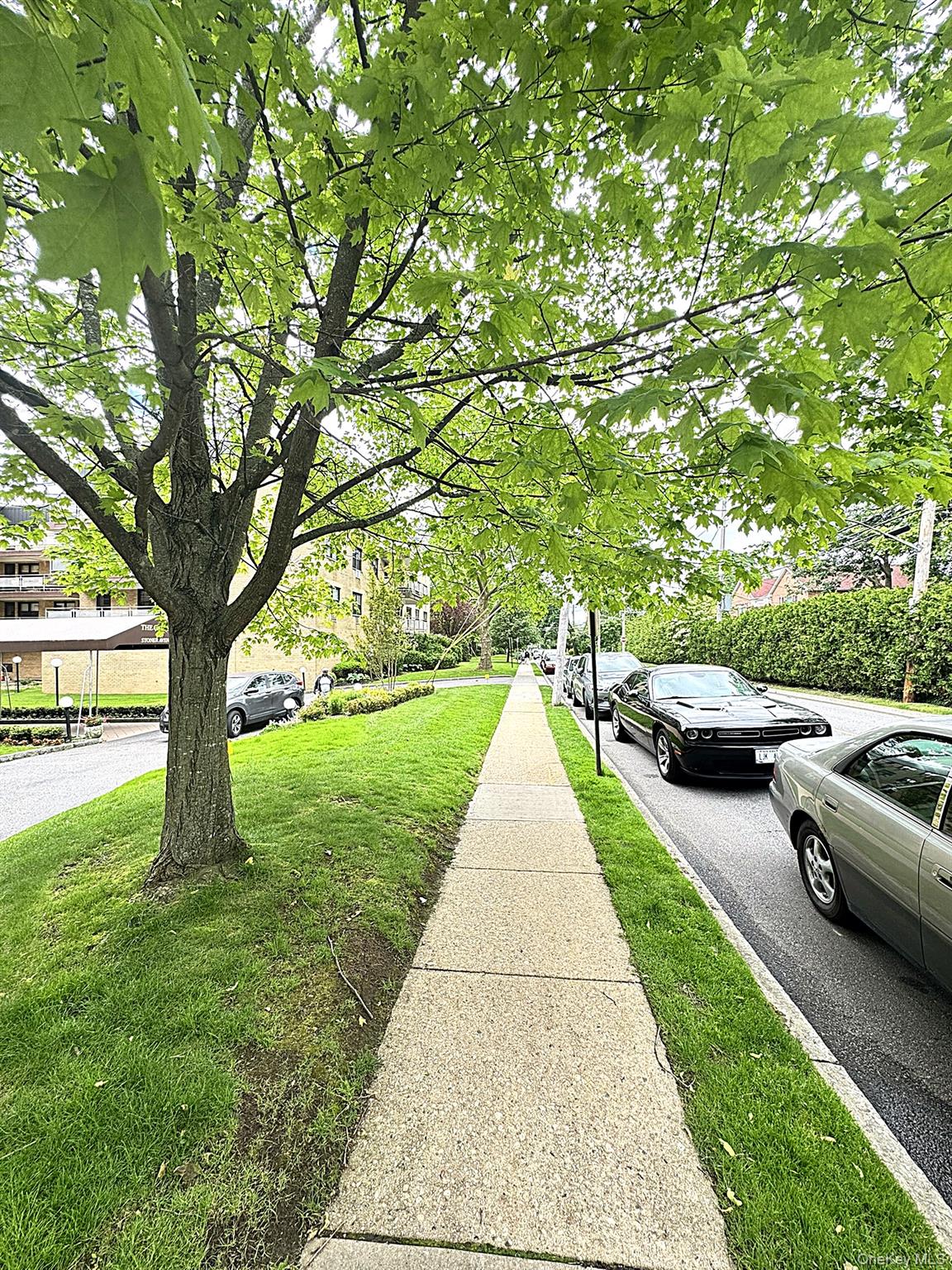 #3 photo, 40 Stoner, Great Neck , NY 11021