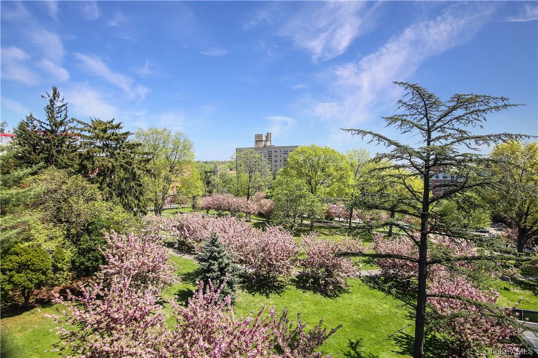 #13 photo, 20 N Broadway, White Plains , NY 10601