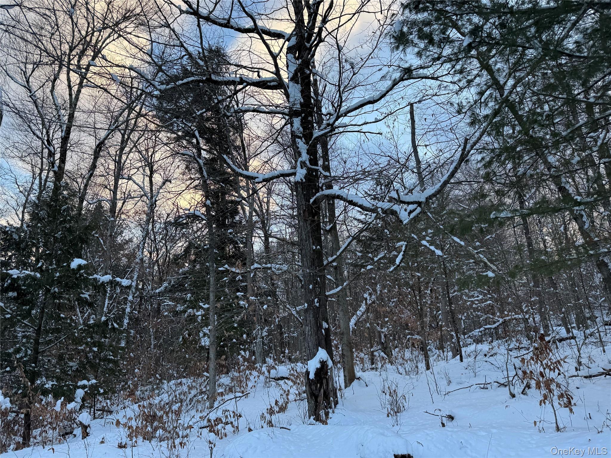 #1 photo, 00 Starlight Road, Monticello , NY 12701