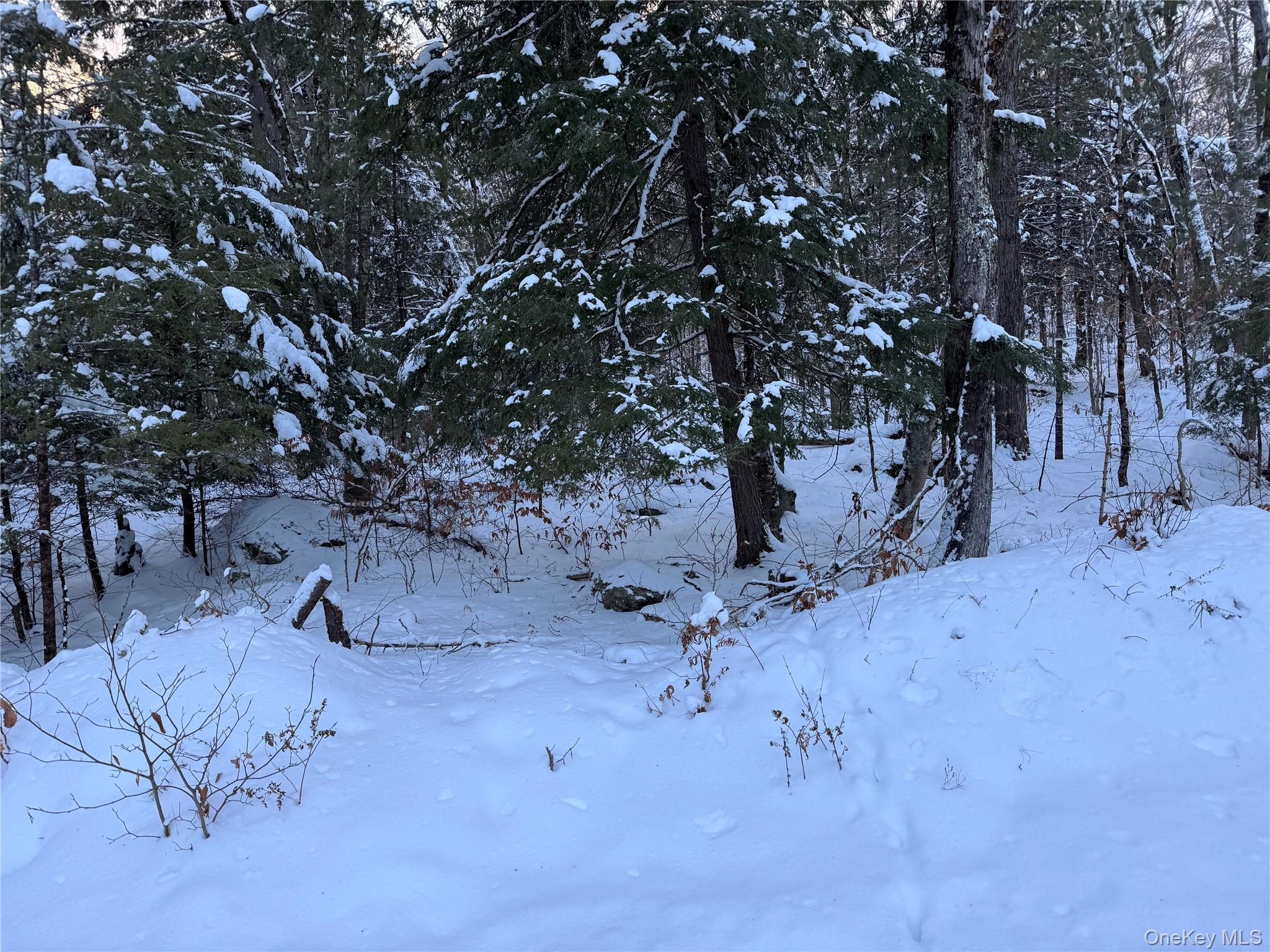 #10 photo, 00 Starlight Road, Monticello , NY 12701