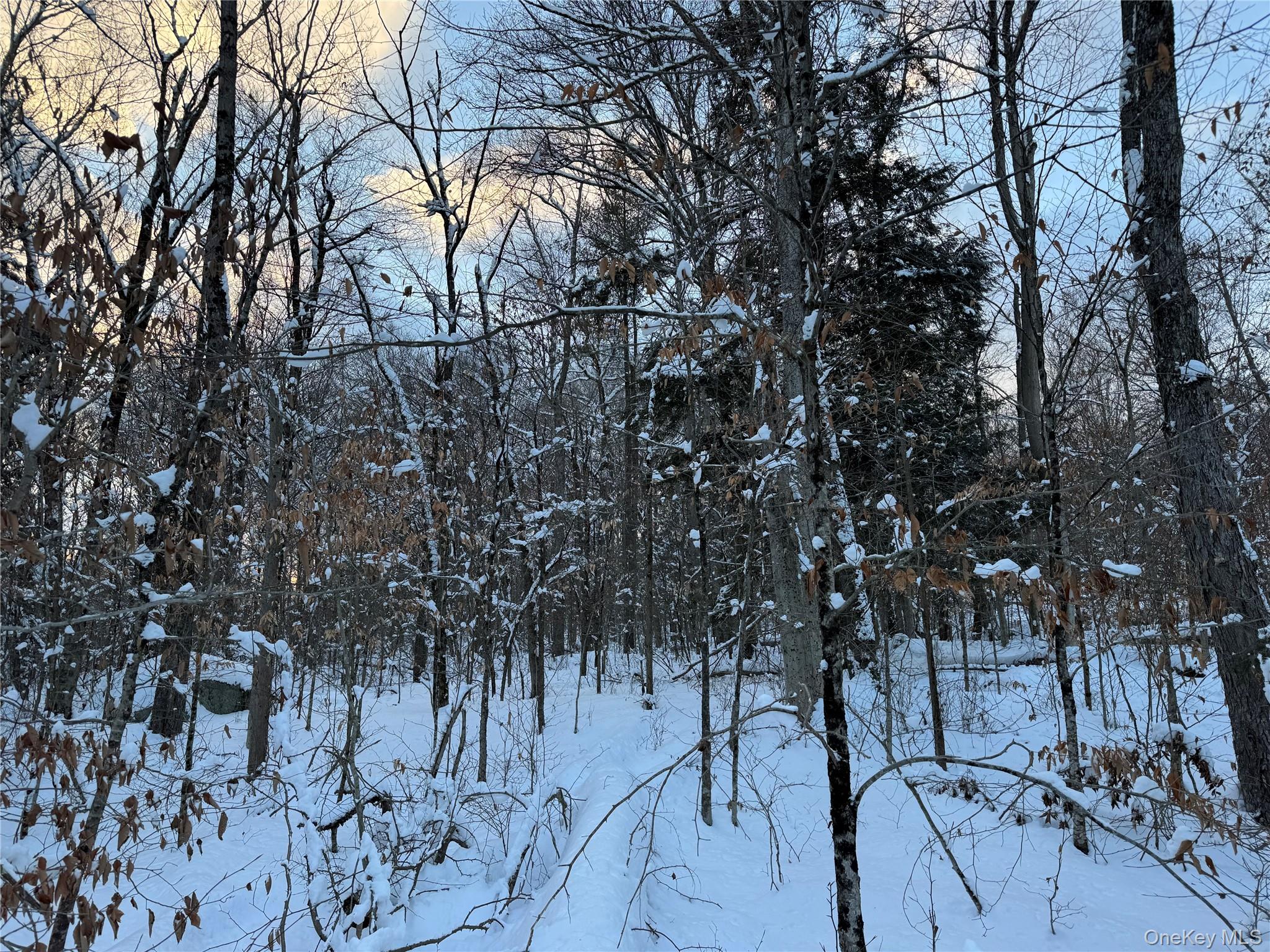 #11 photo, 00 Starlight Road, Monticello , NY 12701