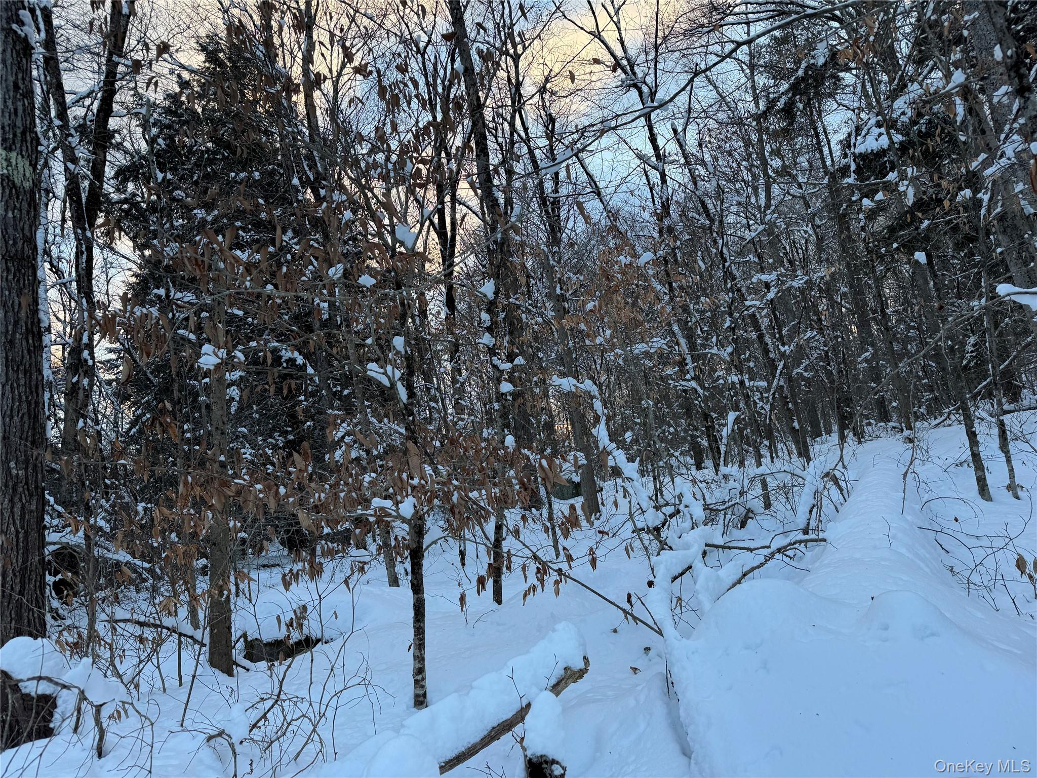 #14 photo, 00 Starlight Road, Monticello , NY 12701