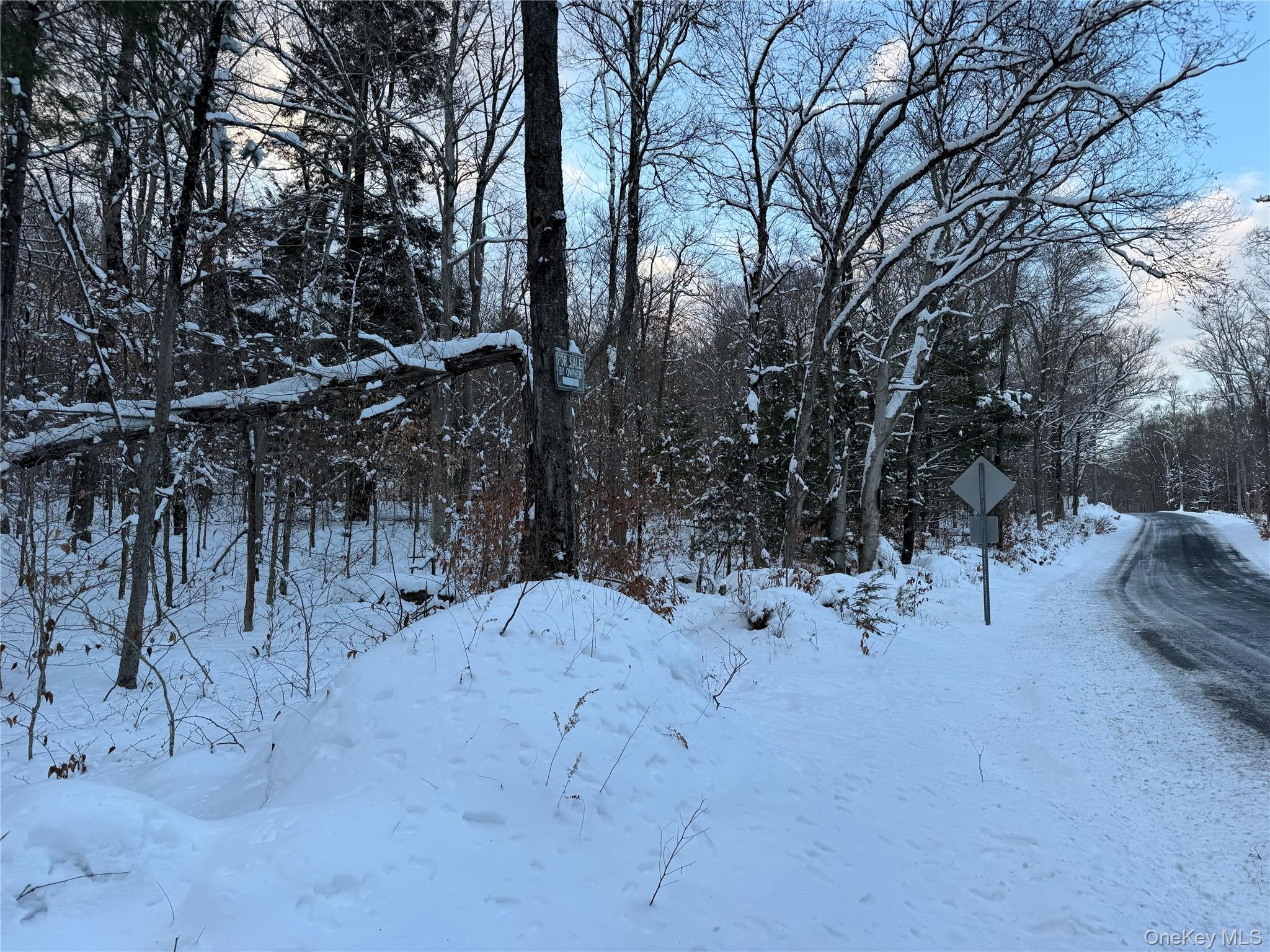 #3 photo, 00 Starlight Road, Monticello , NY 12701