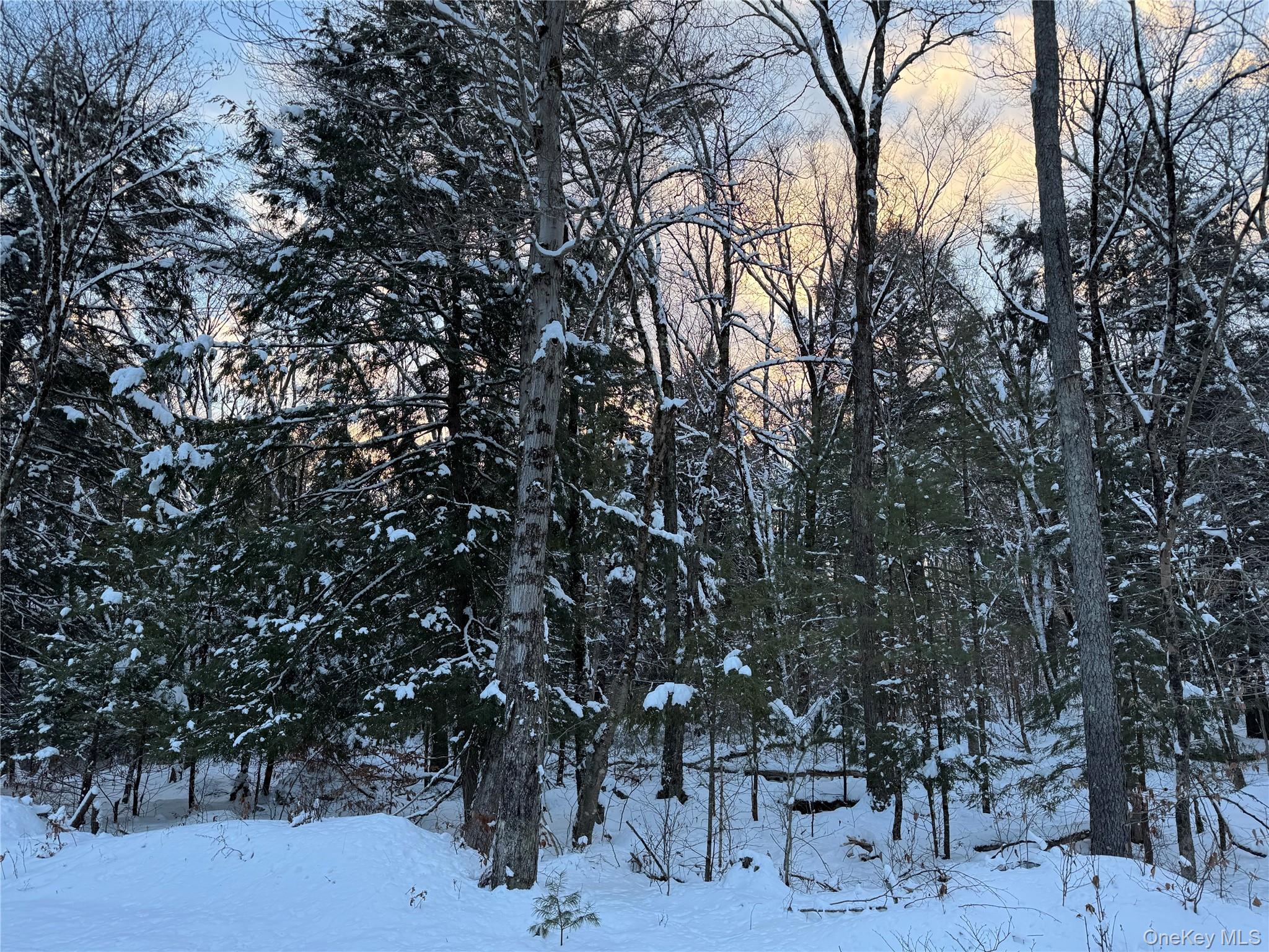 #4 photo, 00 Starlight Road, Monticello , NY 12701