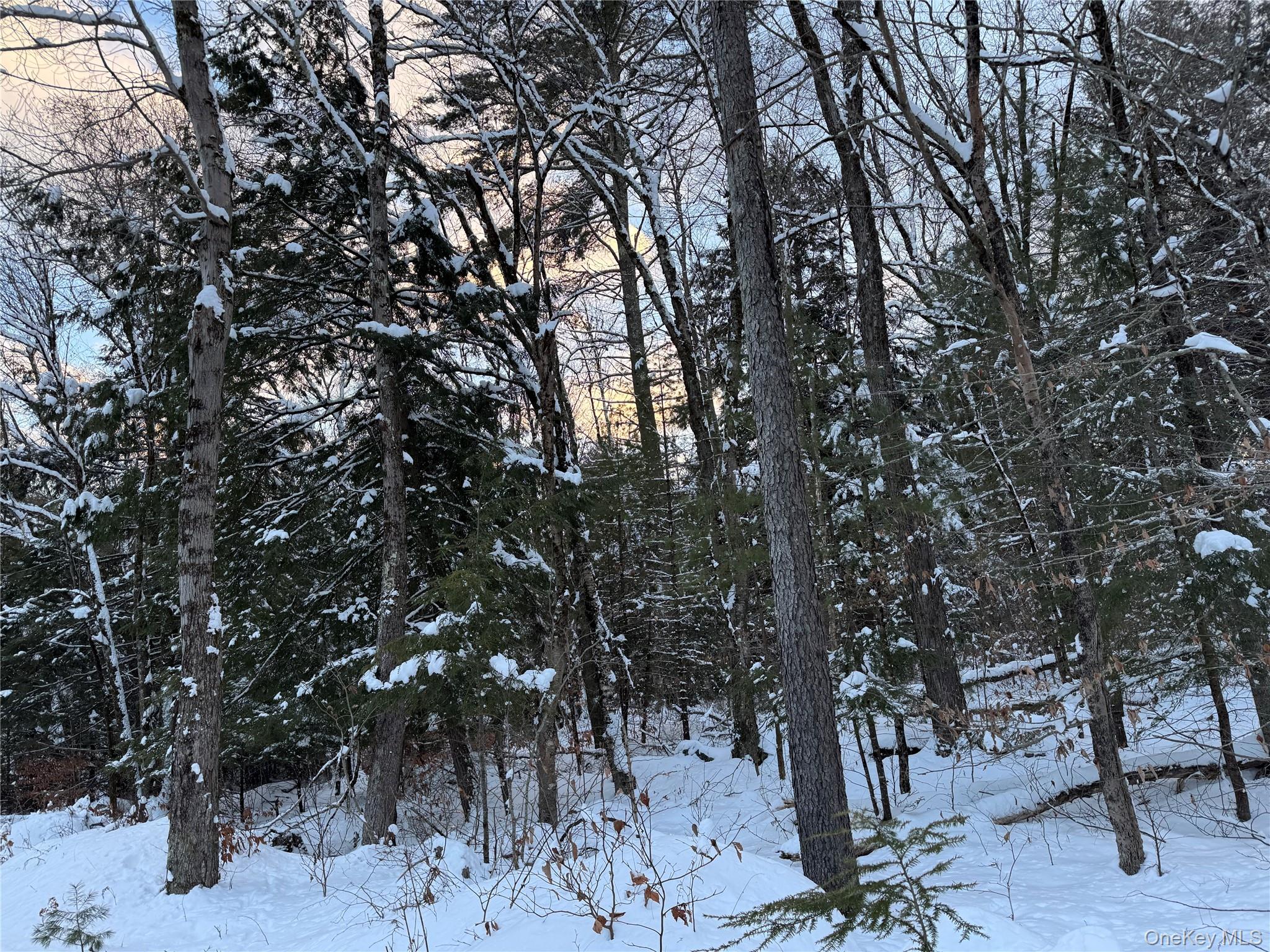 #7 photo, 00 Starlight Road, Monticello , NY 12701