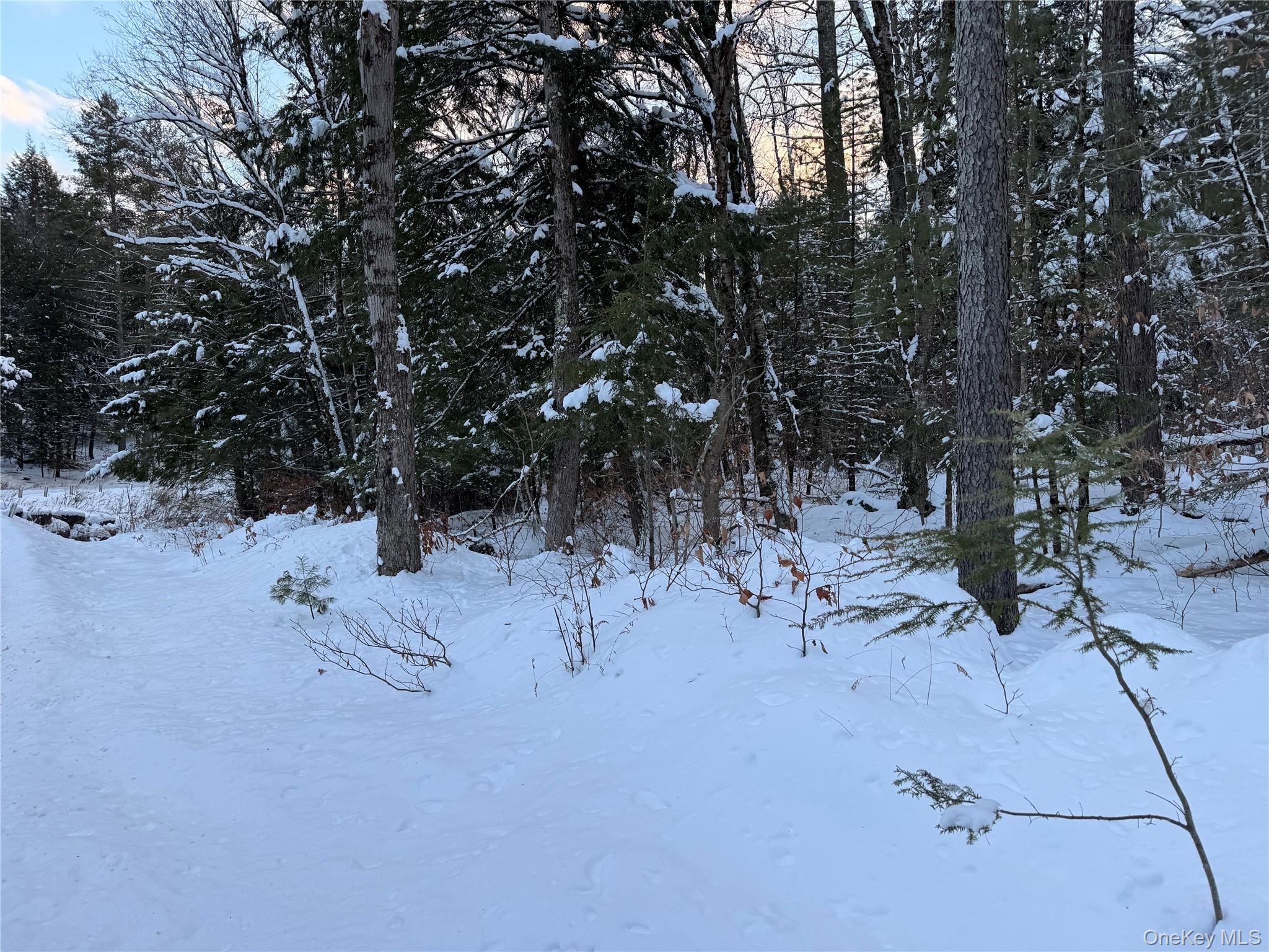 #8 photo, 00 Starlight Road, Monticello , NY 12701