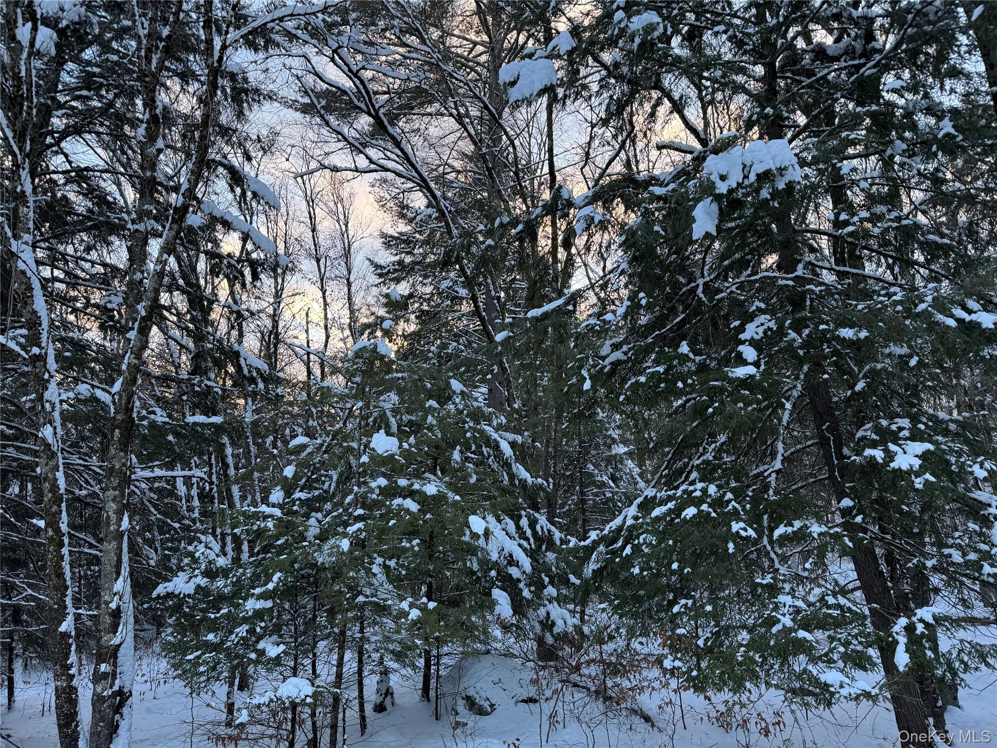 #9 photo, 00 Starlight Road, Monticello , NY 12701