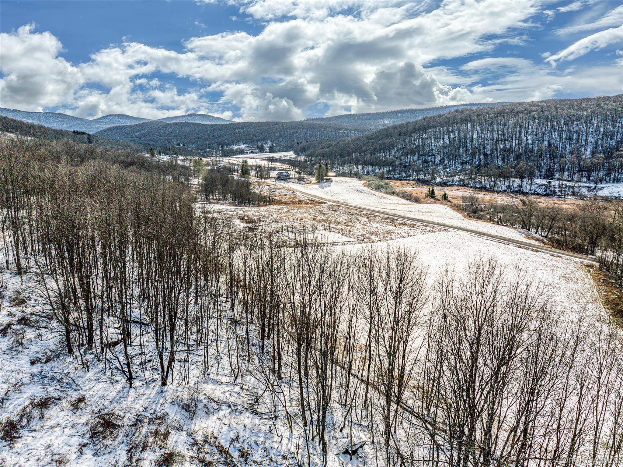 #10 photo, Betty Brook Road, Bloomville , NY 13842