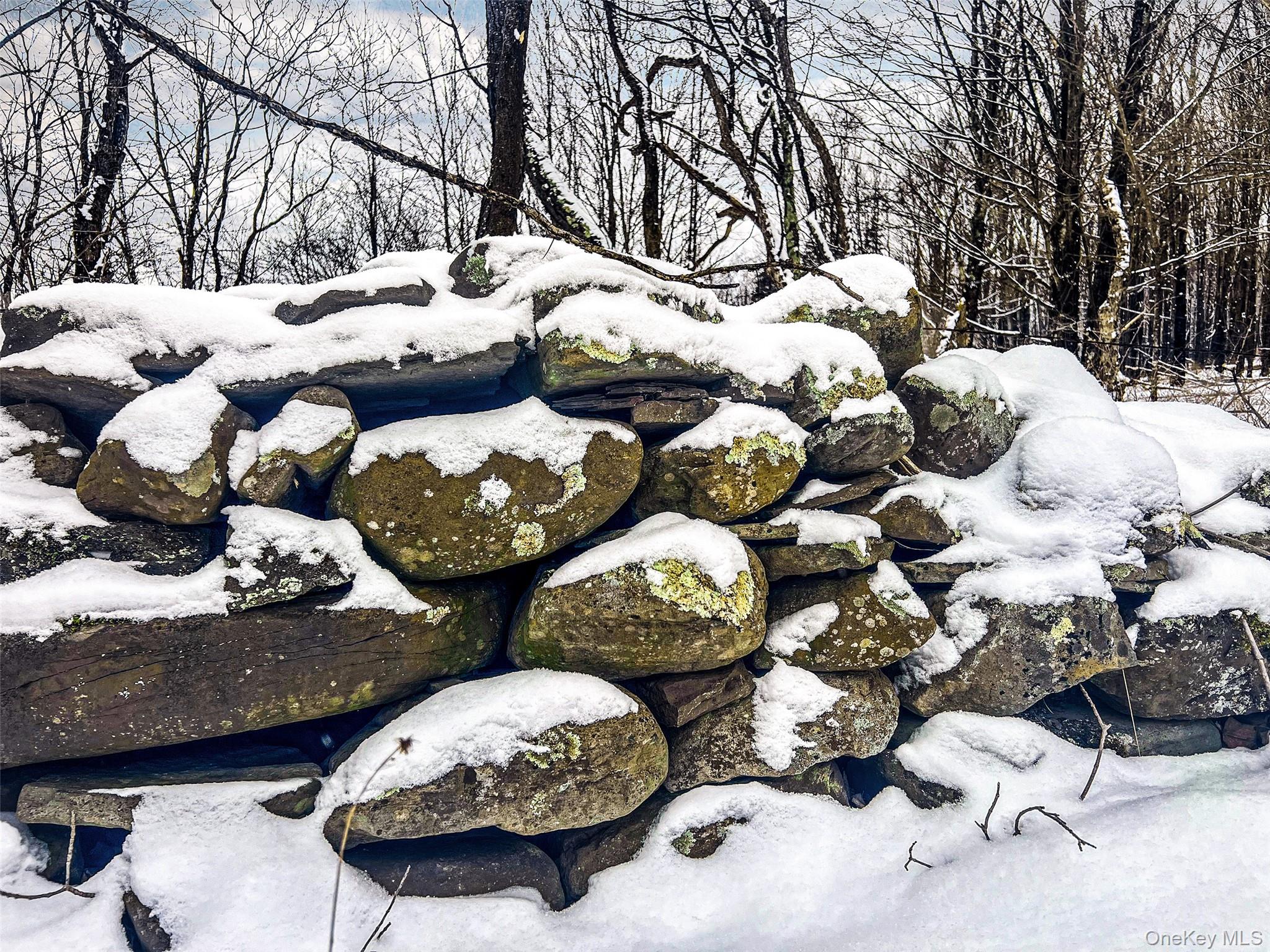 #11 photo, Betty Brook Road, Bloomville , NY 13842